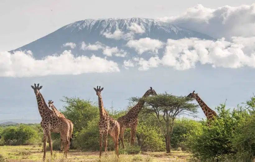 Amboseli National Park view 2