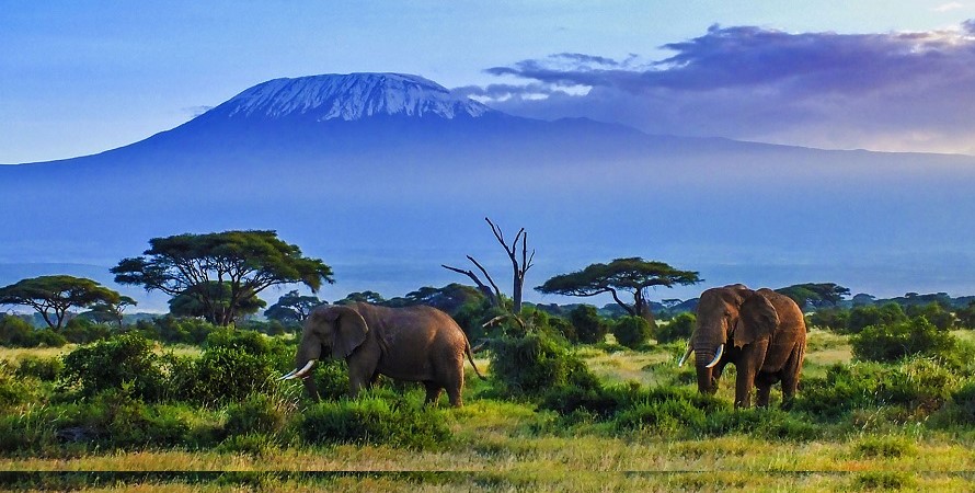 Amboseli National Park view 4