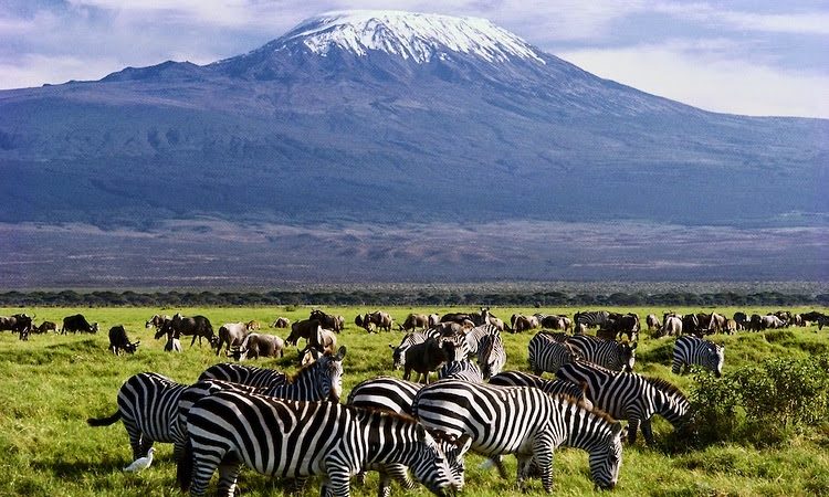 Amboseli National Park view 5