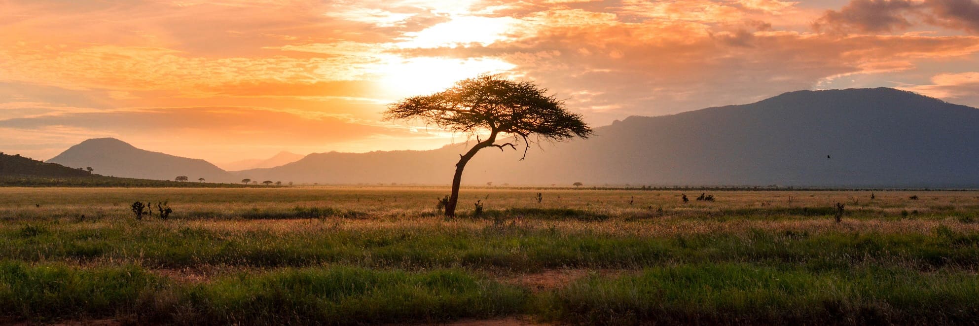 Masai Mara National Reserve view 3