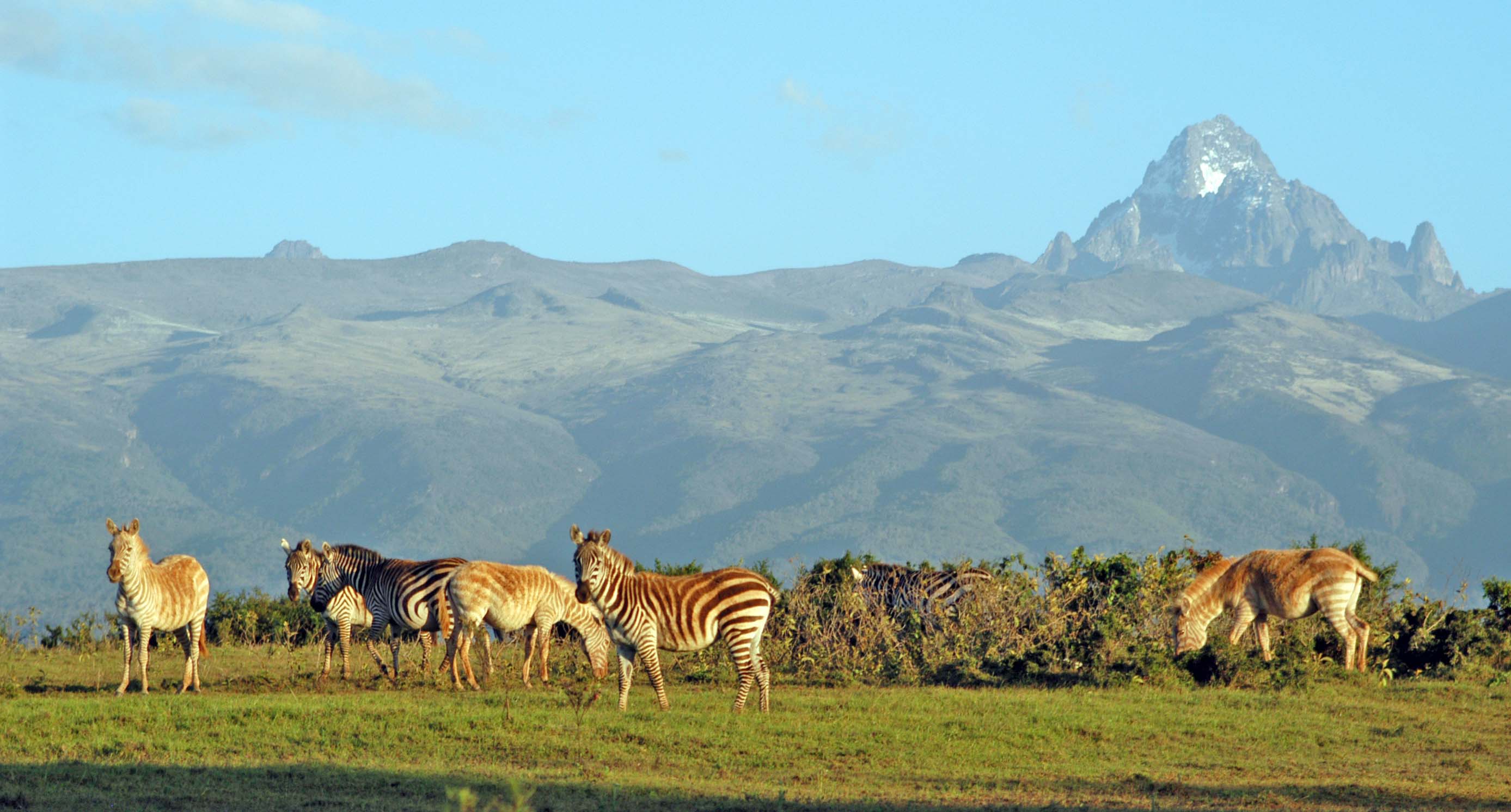 Mount Kenya view 3