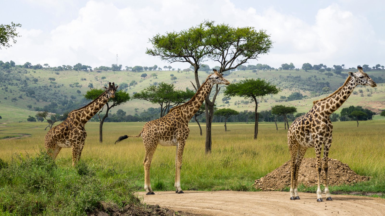Lake Naivasha