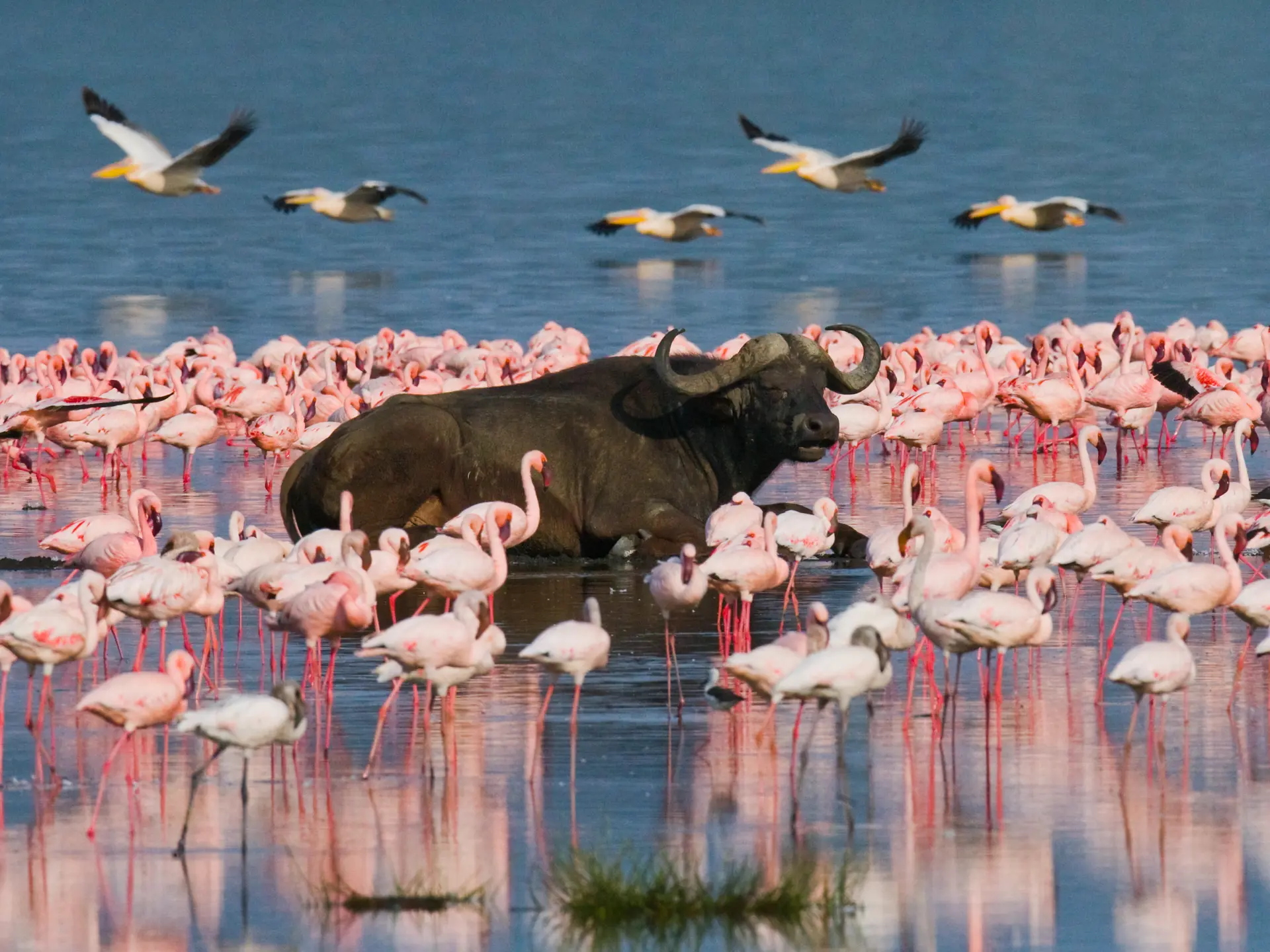 Lake Nakuru National Park