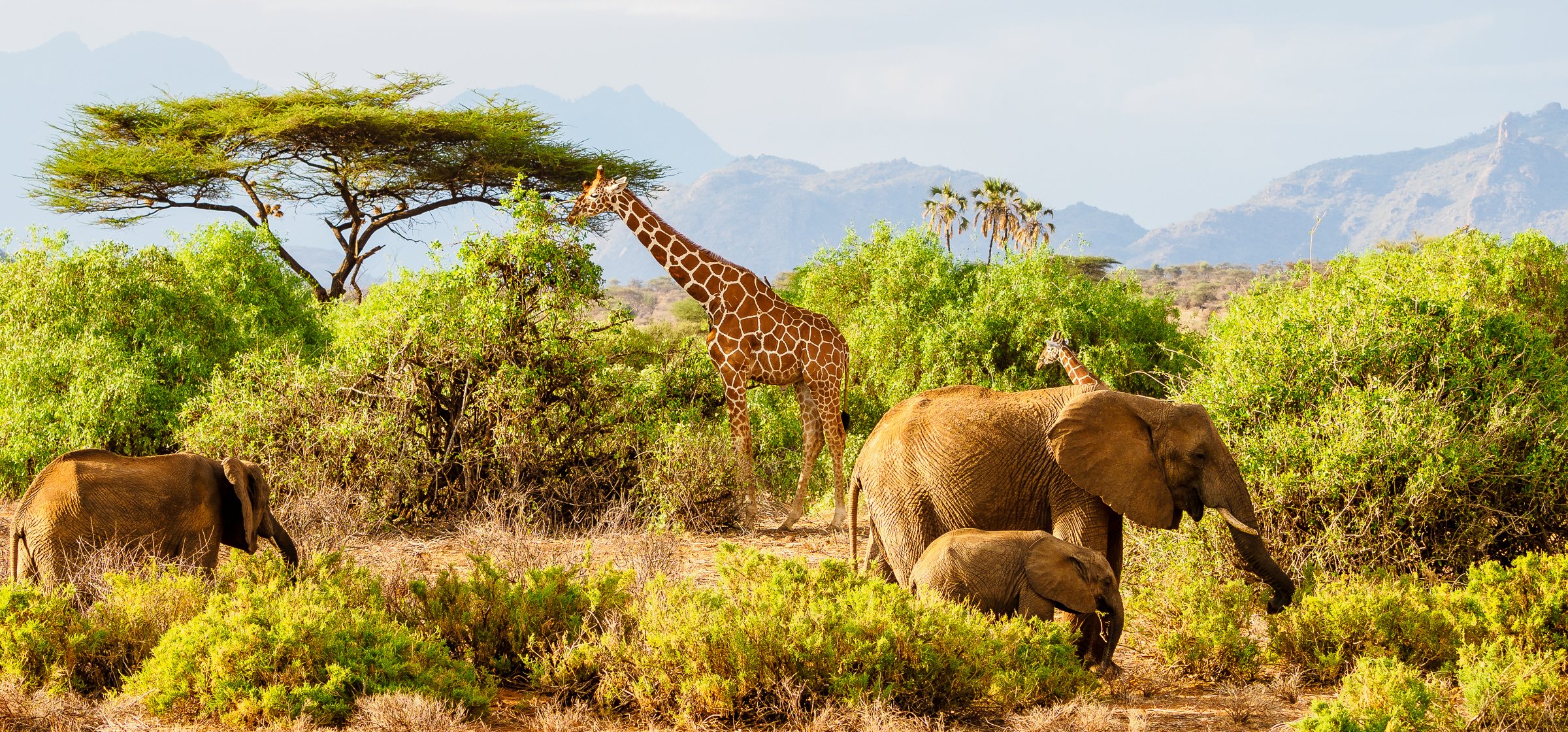 Samburu National Reserve view 3