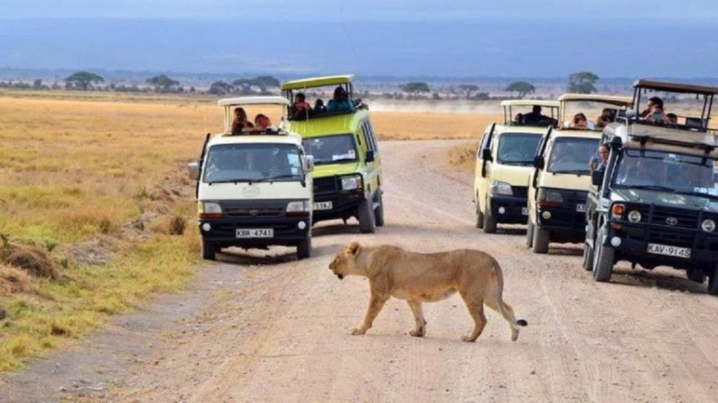 Tsavo National Parks view 1