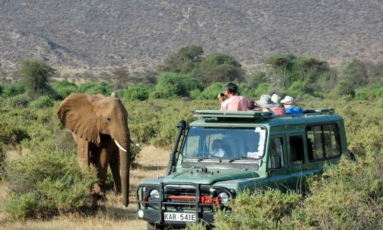 Tsavo National Parks view 2