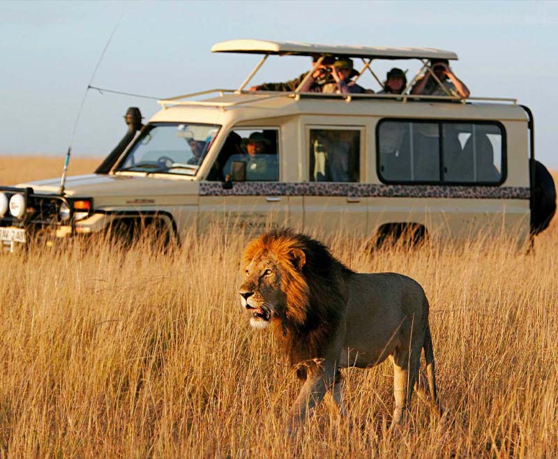 Tsavo National Parks view 3