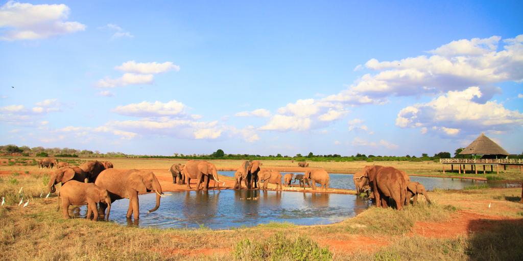 Tsavo National Parks view 4