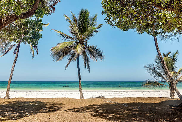 Watamu view 4