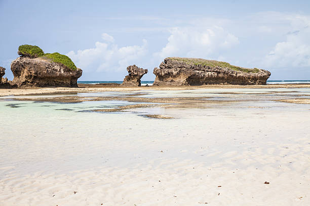 Watamu view 5